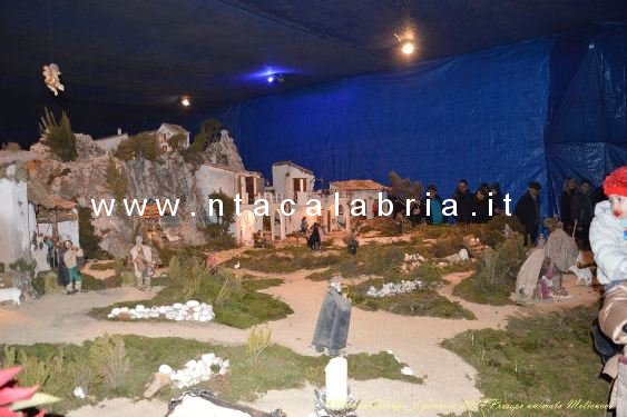 presepe-melicucco-060114-81