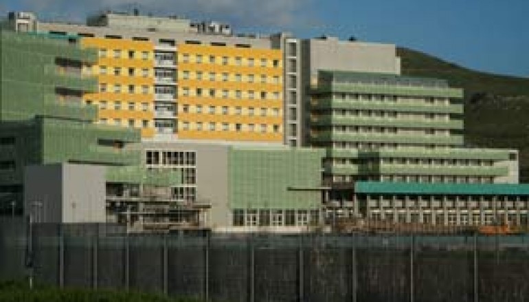magna graecia university