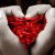 donazione organi