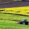 agricoltura in calabria