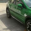 Carabinieri Forestali nel Parco Nazionale d’Aspromonte