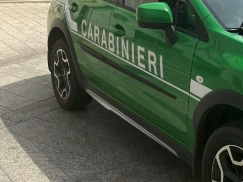 Carabinieri Forestali nel Parco Nazionale d’Aspromonte