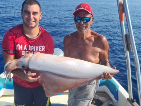 calamaro gigante saline